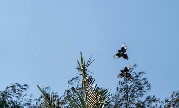 L'impact du vieillissement sur la santé mentale